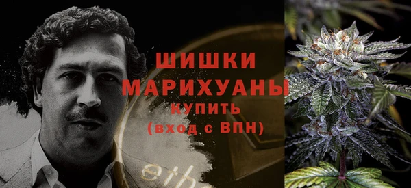 mdpv Новодвинск